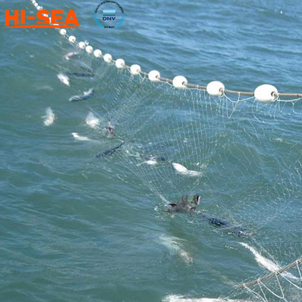 Gill Net